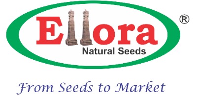 Ellora Natural Seed Pvt Ltd — client of Avinash Chate
